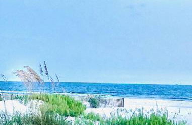 Pet Friendly Tranquil Cottage with Fire-Pit & Hot Tub Minutes to BEACHES - Foto 59