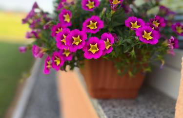 Holiday Home Božica - Photo 18