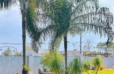 Mansão Primavera 03 quartos, piscina e churrasqueira - Foto 28