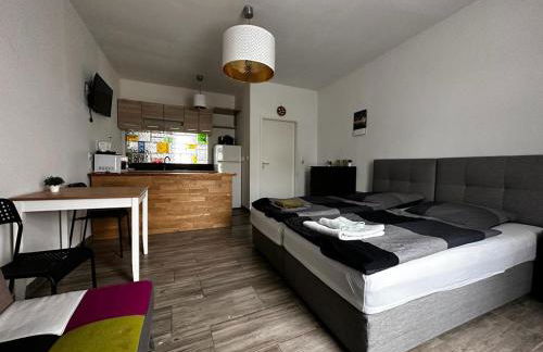 Nice and comfortable studio in Pankow - Foto 1