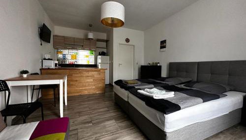 Nice and comfortable studio in Pankow - Foto 1