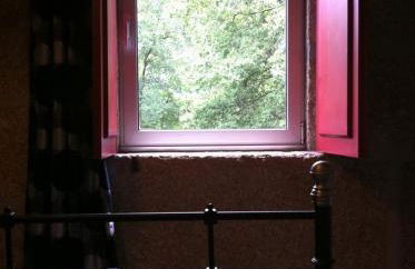 Eira das Carvalhas - Foto 7