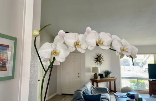 Indian Wells Resort Home with Private Saltwater Pool - Foto 15