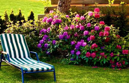 4-Sterne Ferienhaus Rösslewiese Hinterzarten - Foto 22