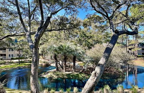 The Spa 1219 by Hilton Head Retreats - Foto 6