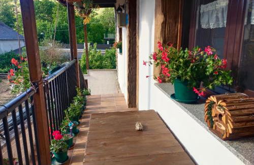 La casita de la señora María - Foto 2