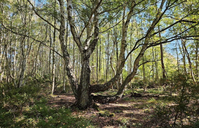 4 Star Holiday Home in Bohus - Photo 11