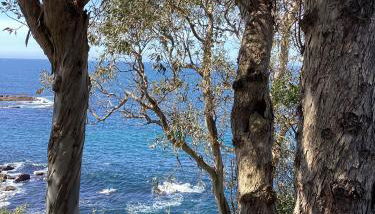 Precioso estudio en primera línea frente a las islas Cíes - Foto 2