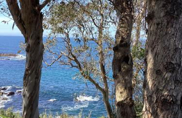 Precioso estudio en primera línea frente a las islas Cíes - Foto 2