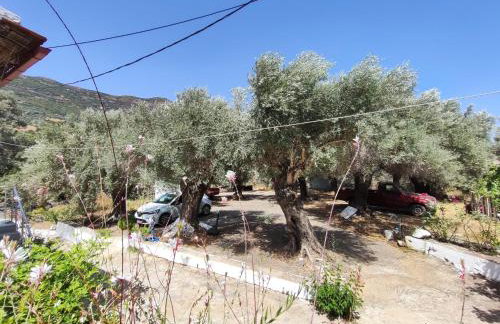 Nature House Vlatos - Foto 31