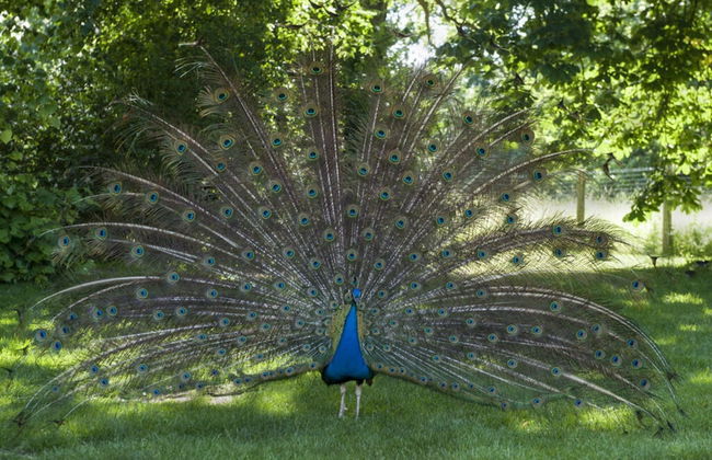 Holiday Apartment Trulich Hoff - Foto 9