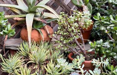 Modern & Open 2BR in Rockridge, Highly Walkable on Oakland Berkeley Border - Foto 20