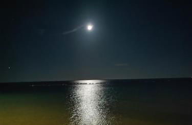 L'uliveto sui Trabocchi - Foto 34