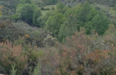 Casinha das Estrelas - Foto 14