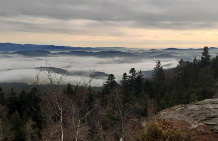 Ferien im Kühbergstadl - Foto 33