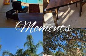 Finca Sol y Mar Es Trenc - Photo 11