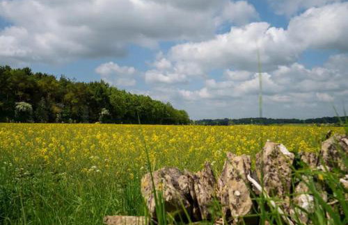 Converted 17th century barn with garden parking - Pass the Keys - Foto 26