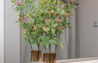 HotTub, FirePit, Basketball, 15 Min To Sedgefield - Photo 58