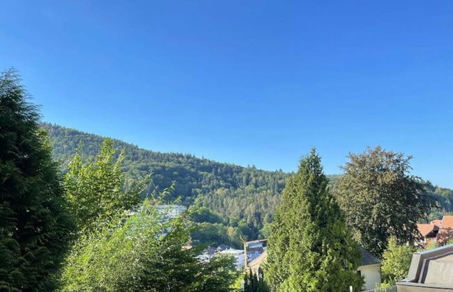 Apartment in Bad Herrenalb With Indoor Pool - Foto 62