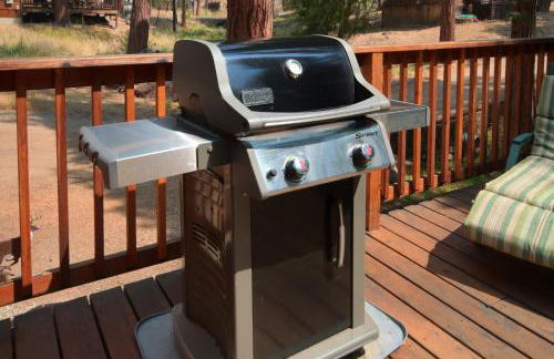 16 Chipmunks Holiday - Foto 14