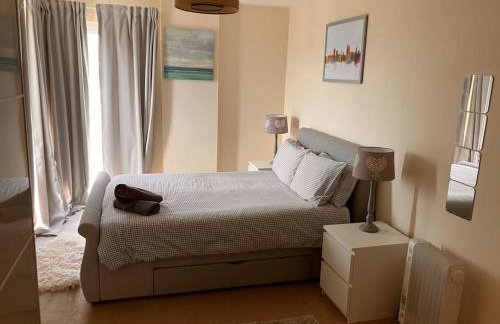 Cardiff Bay, City centre apartment - Foto 3