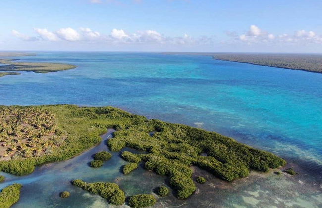 Excursion sur l'île Saona + fleuve Chavón - Photo 2
