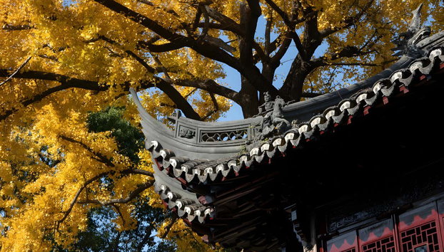 Entrada al Jardín Yuyuan - Foto 3, Detalles arquitectónicos