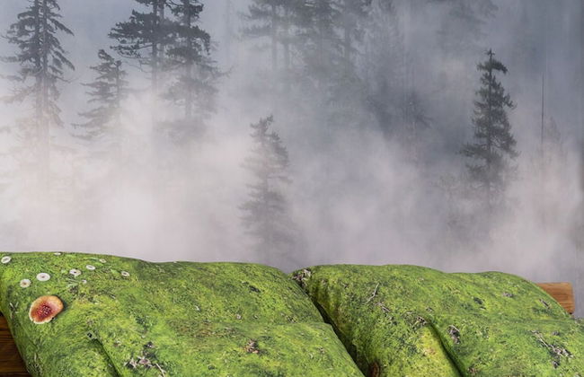 Green Deer Premium - Foto 55