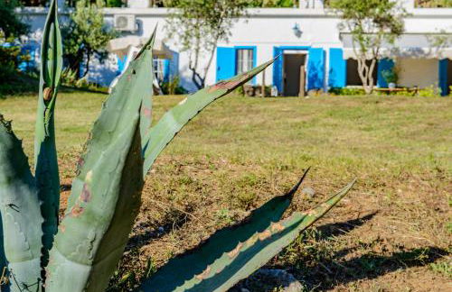 Villa Saline - Foto 25