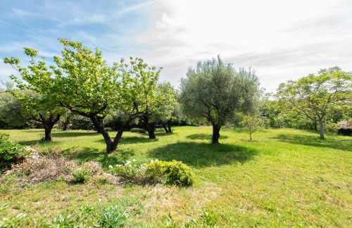 Villa Tourrettes - Foto 19