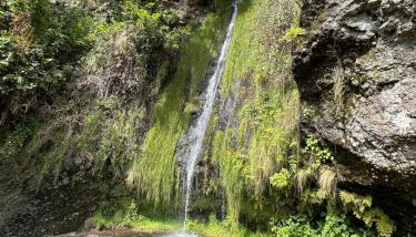 Isabela House - Photo 5