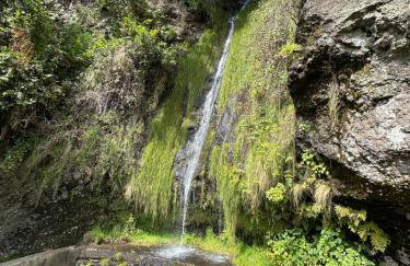 The House of Passos - Foto 6