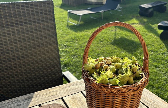 Rudnik Krc070 in Rudn k - Foto 56