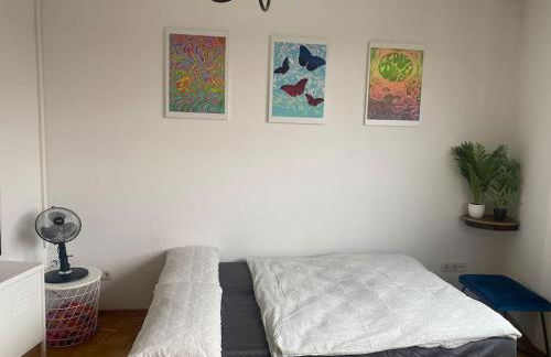 Schöne, helle Wohnung im Zentrum - Foto 15