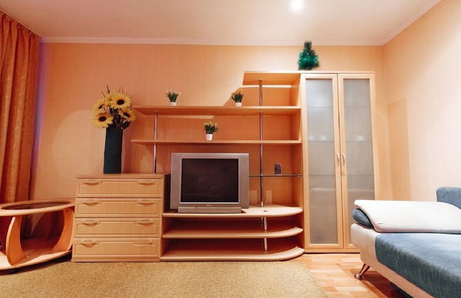 Apartment near Central Square - Photo 6