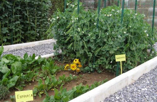 El Pedrueco turismo rural - Foto 73