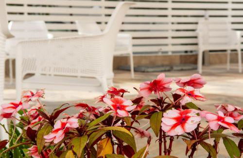 La Cicas Case Vacanze - Foto 38