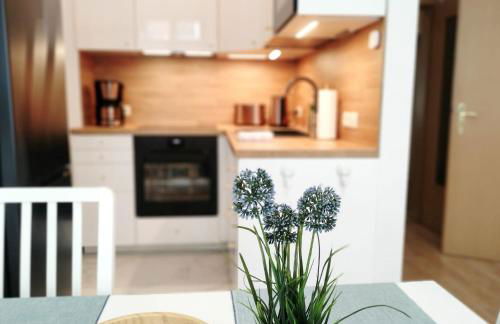 Apartment AS1 - excellent - Foto 16