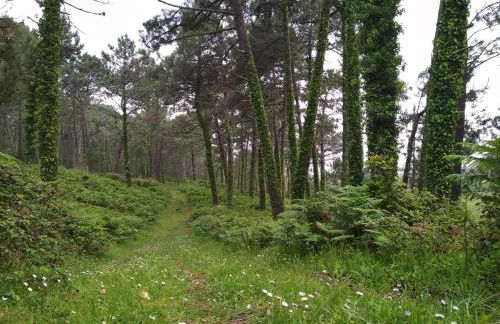 Casa Playa de Balares - Foto 24