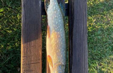 Na domek do Pati - Foto 15