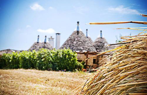 Trulli il Castagno - Foto 66