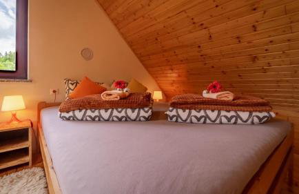 Planinski Raj House with 2 Apartments for 10 Guests - Foto 12