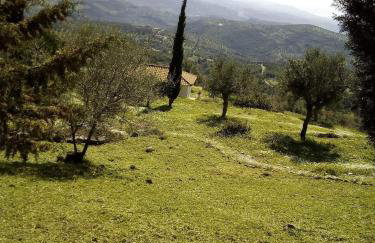 Old Olive house - Foto 10