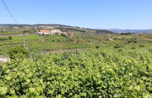 Solar dos Avós - Foto 23