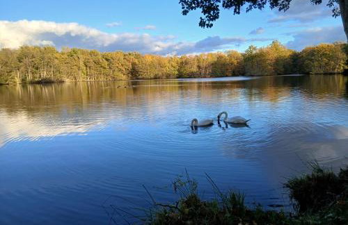 Gite des étangs de Saint Bale - Foto 67