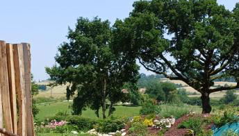 Clos Baroanni - Studio luxe Quercus - Foto 2, Garden, Garden view