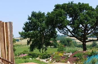 Clos Baroanni - Studio luxe Quercus - Foto 2