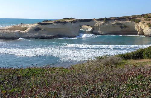 Casa Diana P3115 - Foto 28