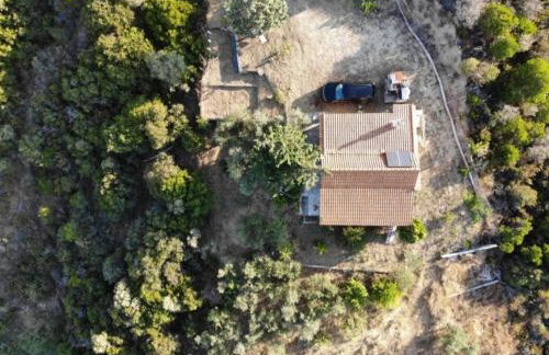 Real Holidays Antoniadou - Rustic House - Foto 52