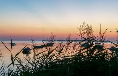 Haffblick im Reetdachhaus am Haff - Foto 16